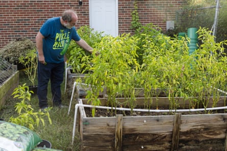 A North Carolina PFAS factory claims its emissions fell by 99.99%. A Guardian test reveals otherwise 5 A man wearing a blue t-shirt tending to his garden.