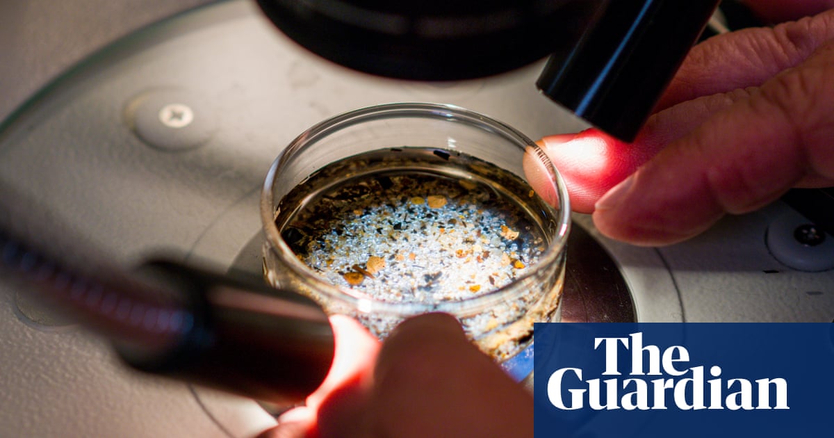 PFAS and microplastics become more toxic when combined, research shows 1 image
