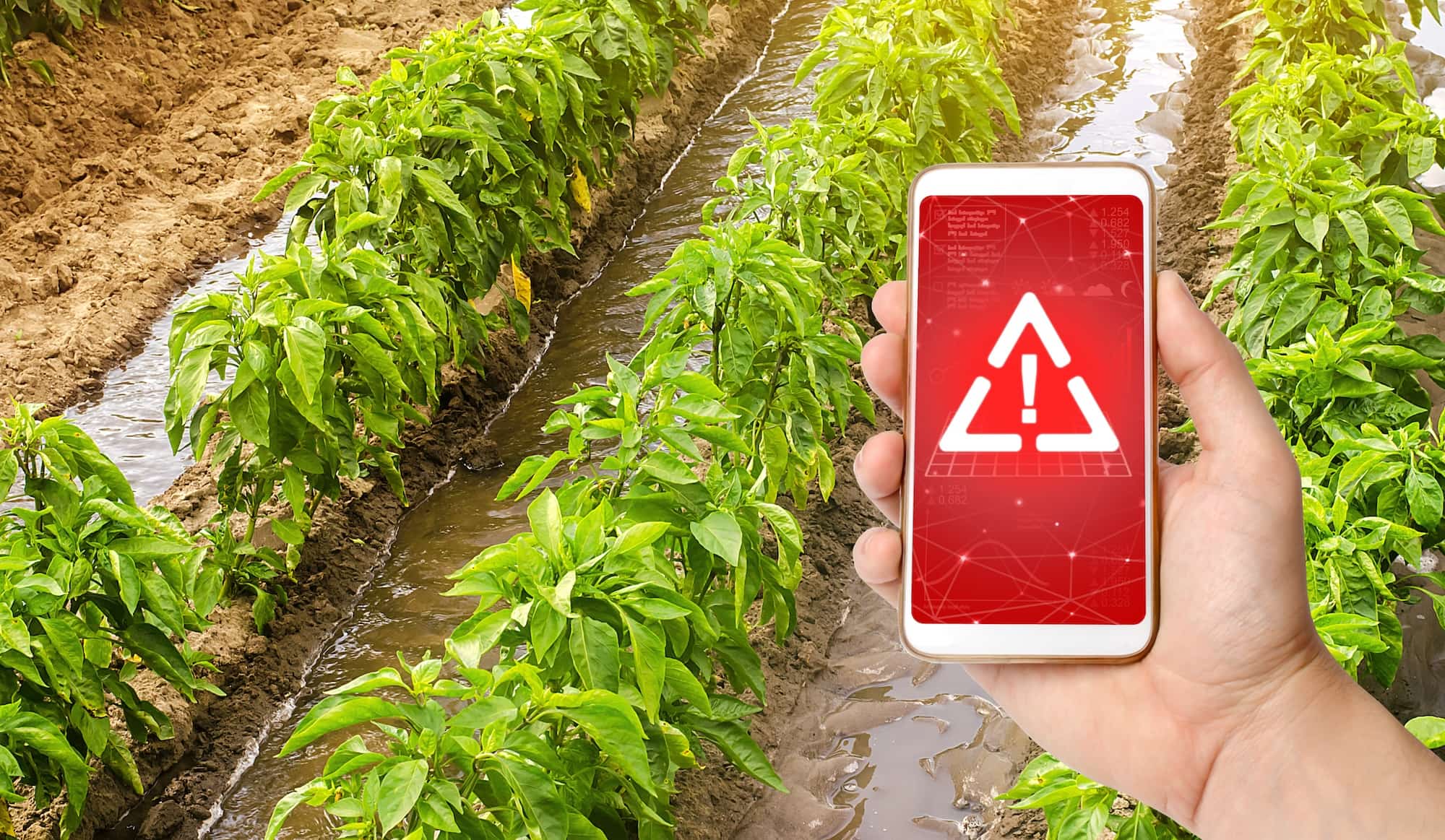 EPA refuses to examine toxicity of ‘inactive’ pesticide chemicals to crops|