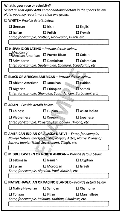 invōk.io petition & crowdfunding social platform - A sample ethnicity questionnaire integrated into invōk.io's social platform.