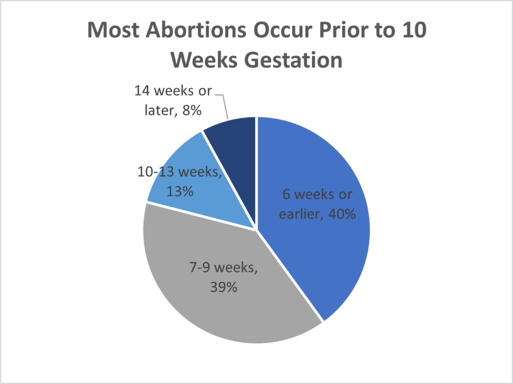 gestation 1024x767 1