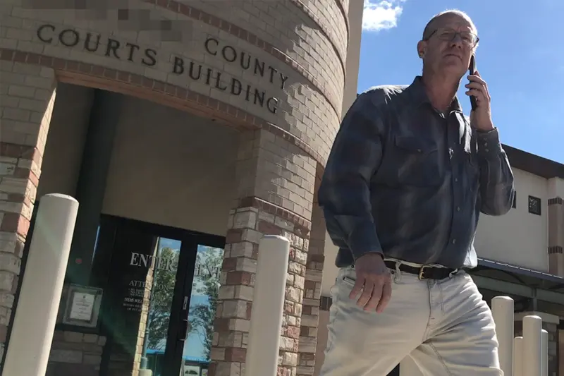 parental alienation bruce court