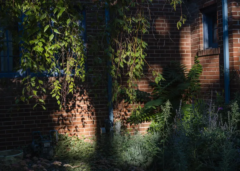 trentdavisbailey 20220924 004 CROP