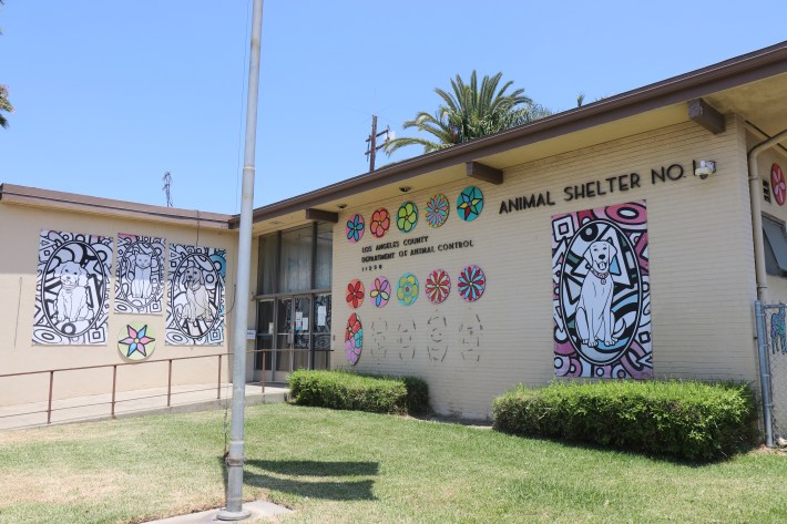 Pets Left Behind Due to L.A.’s ICE Raids Are Urgently In Need of New Homes 4 Outside entrance of the Downey Animal Shelter.