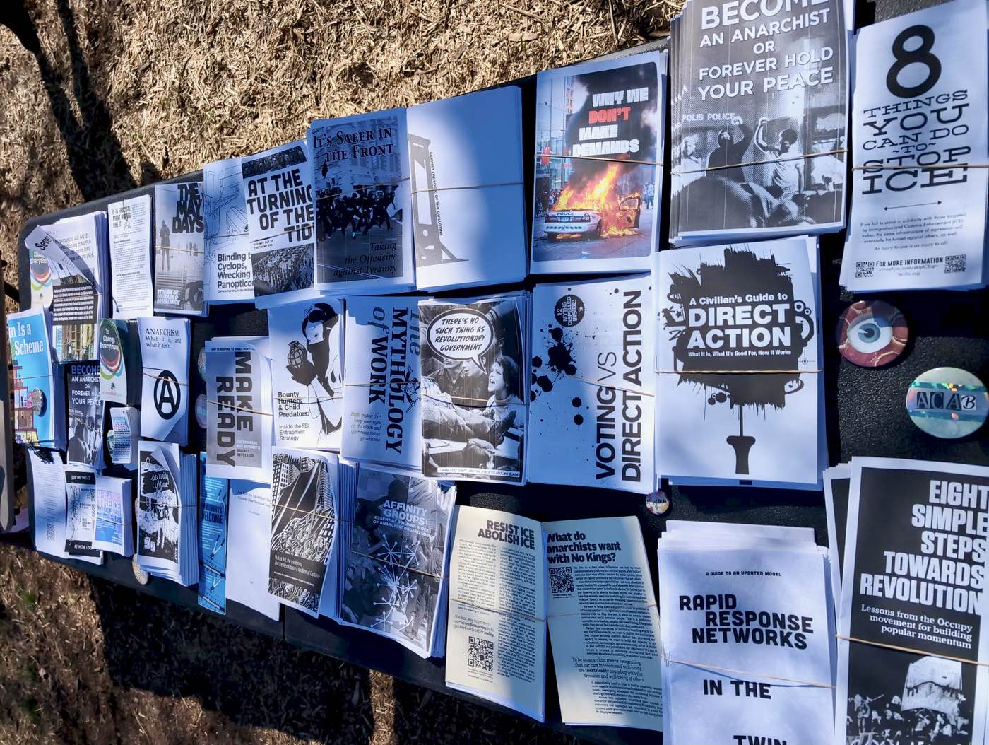Anarchists at the 2026 No Kings Rallies : Reports from around the Country 6 image