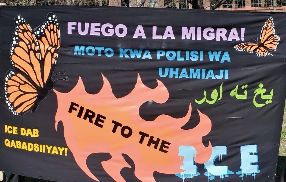 Anarchists at the 2026 No Kings Rallies : Reports from around the Country 7 image