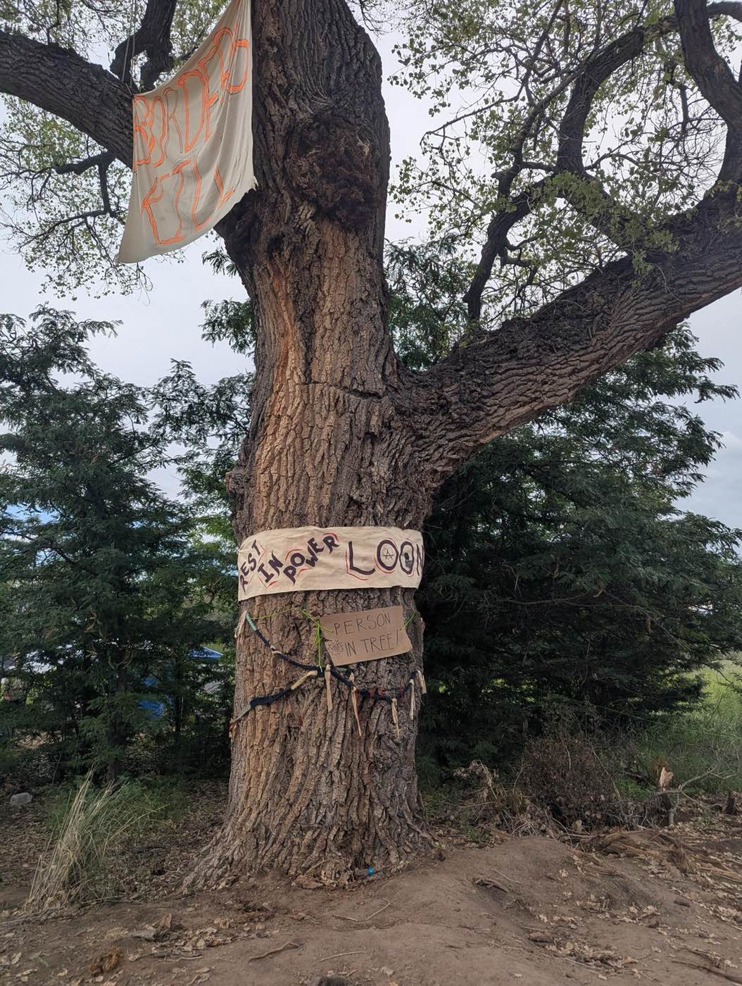 The Border is an Open Wound : A Tree Sit in Lochiel, Arizona Halts Border Wall Construction 10 image